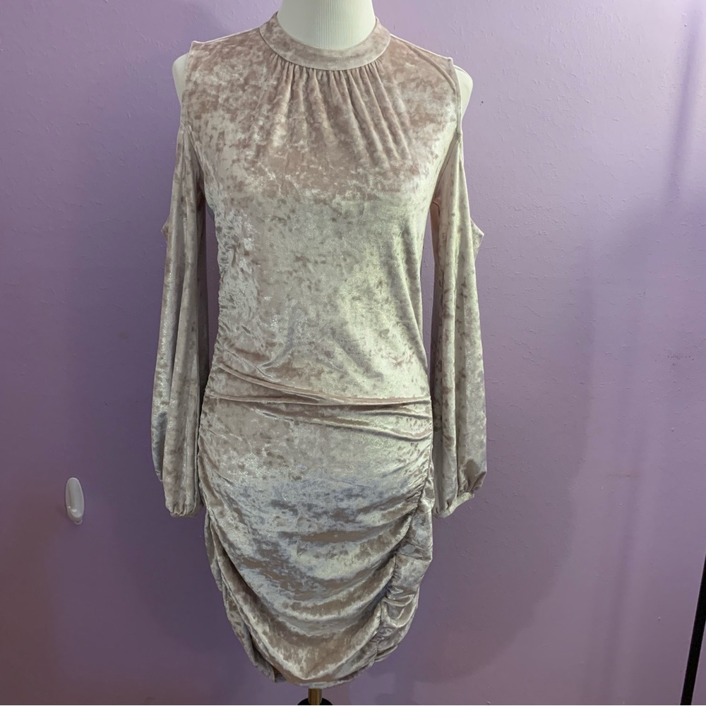 Express velvet dress